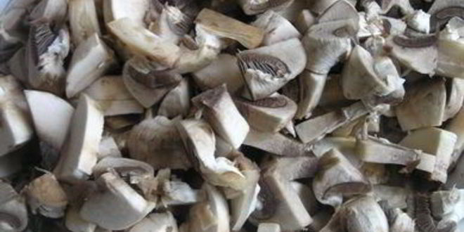 Рецепт тарталеток с начинкой из овощей и грибов