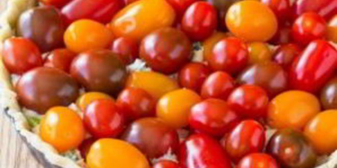 Рецепт тарта с сыром и томатами