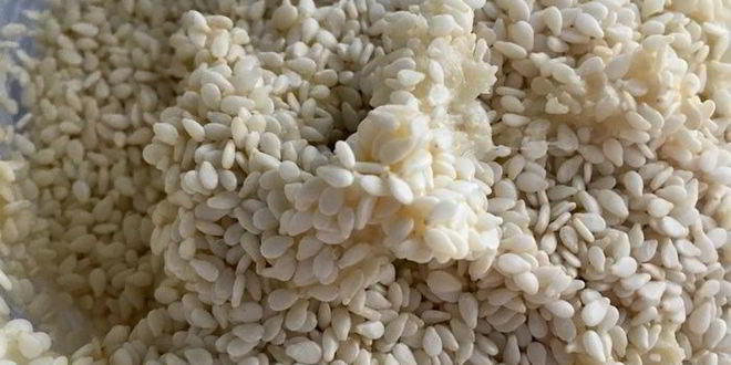 Рецепт тарта с творогом, овощами и зеленью