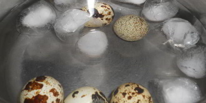 Рецепт ржаных тостов с авокадо