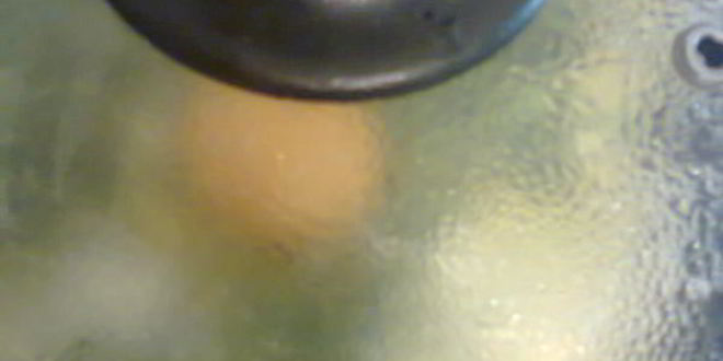 Рецепт глазуньи с эстрагоном