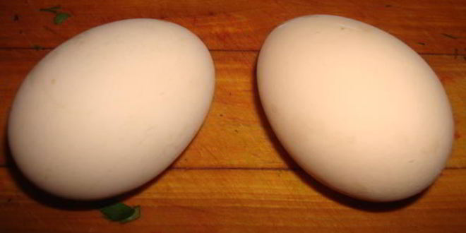 Рецепт закуски из сайры