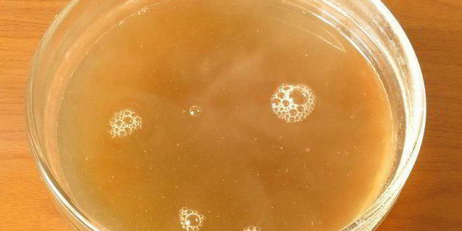 Рецепт грибного заливного постного