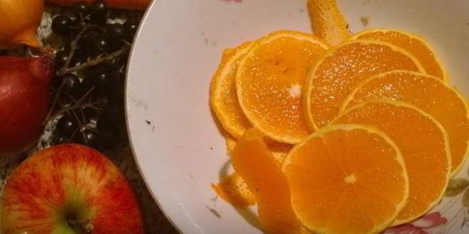 Рецепт праздничного заливного из утки с брусникой утиная история