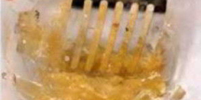 Рецепт заливного из грудки индейки