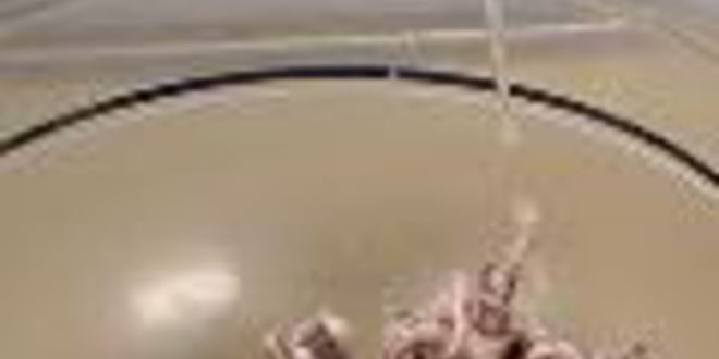 Рецепт заливного из морепродуктов в бокалах