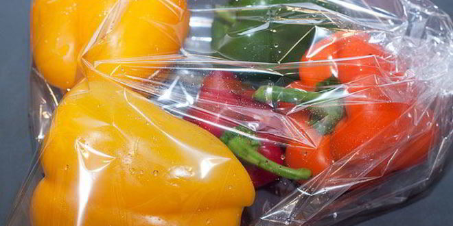 Рецепт заливного — террина из запеченных овощей