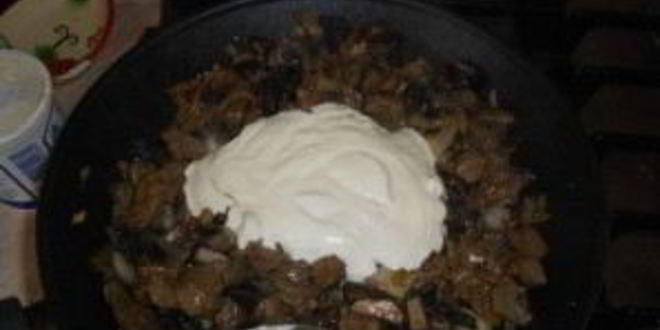 Рецепт жульена из говядины с грибами